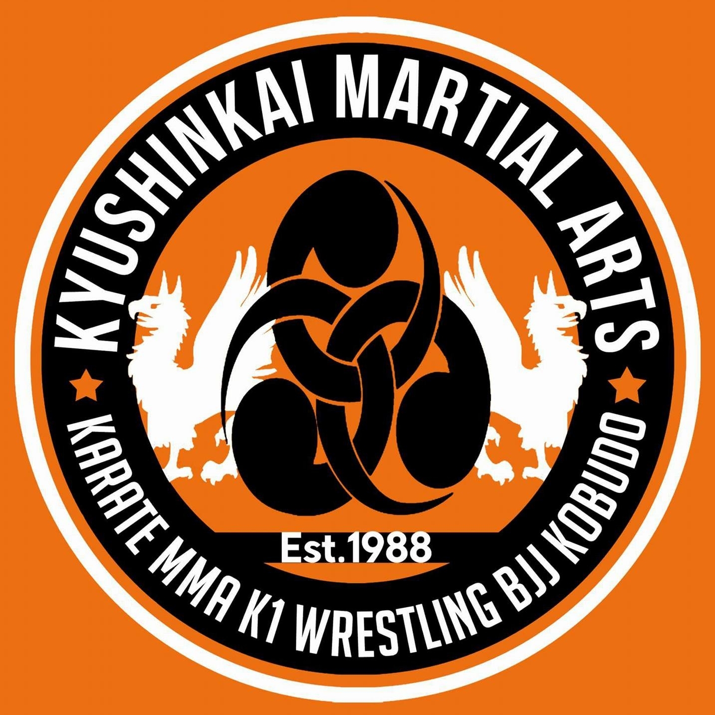 Join in competitive team sports Image for Kyu-shin-kai martial arts